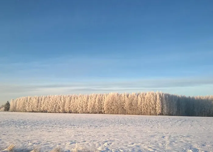 Apartament Eric Vampula